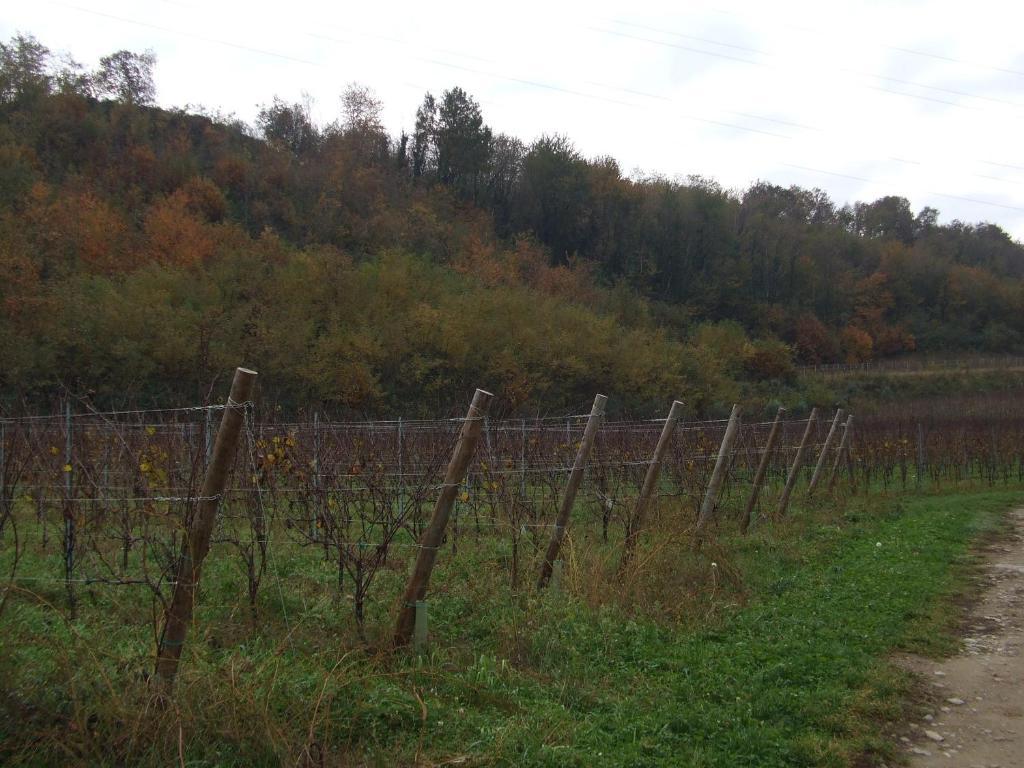 Agriturismo Cascina Rossano 프로바글리오디세오 외부 사진