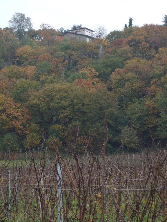 Agriturismo Cascina Rossano 프로바글리오디세오 외부 사진