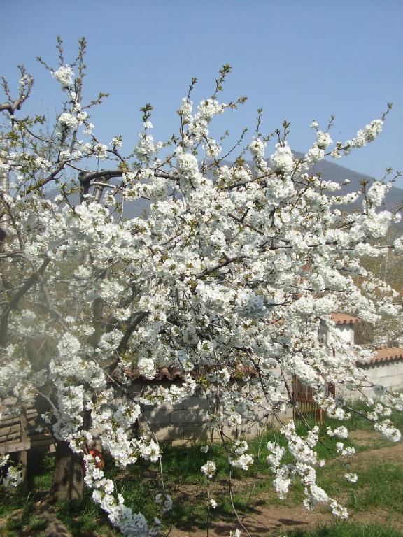 Agriturismo Cascina Rossano 프로바글리오디세오 외부 사진