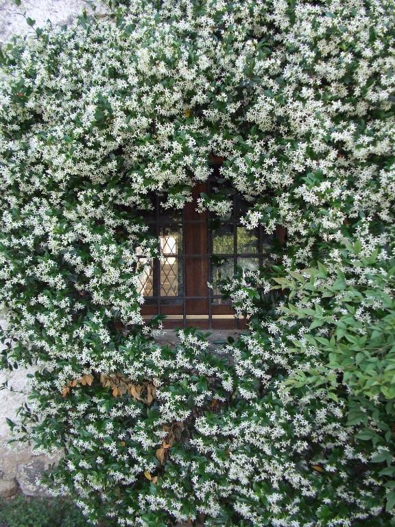 Agriturismo Cascina Rossano 프로바글리오디세오 외부 사진