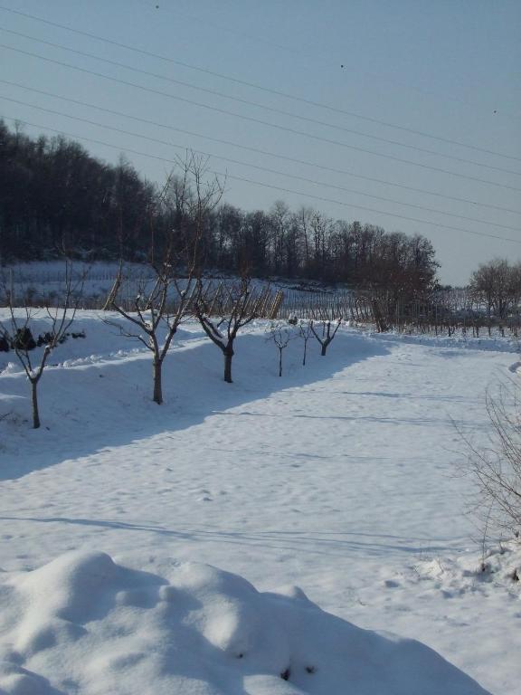 Agriturismo Cascina Rossano 프로바글리오디세오 외부 사진