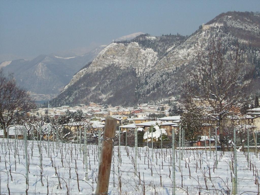 Agriturismo Cascina Rossano 프로바글리오디세오 외부 사진